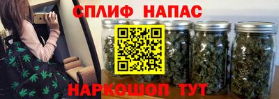 гидра Бузулук