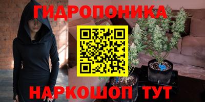 ешки Будённовск