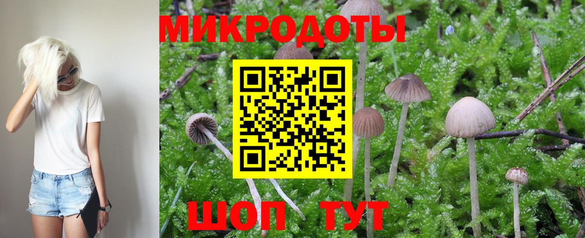 Березники  Псилоцибиновые грибы Psilocybine cubensis  закладки  Вход с VPN 